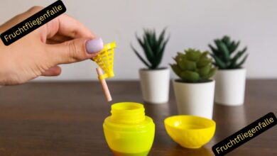 Fruchtfliegenfalle